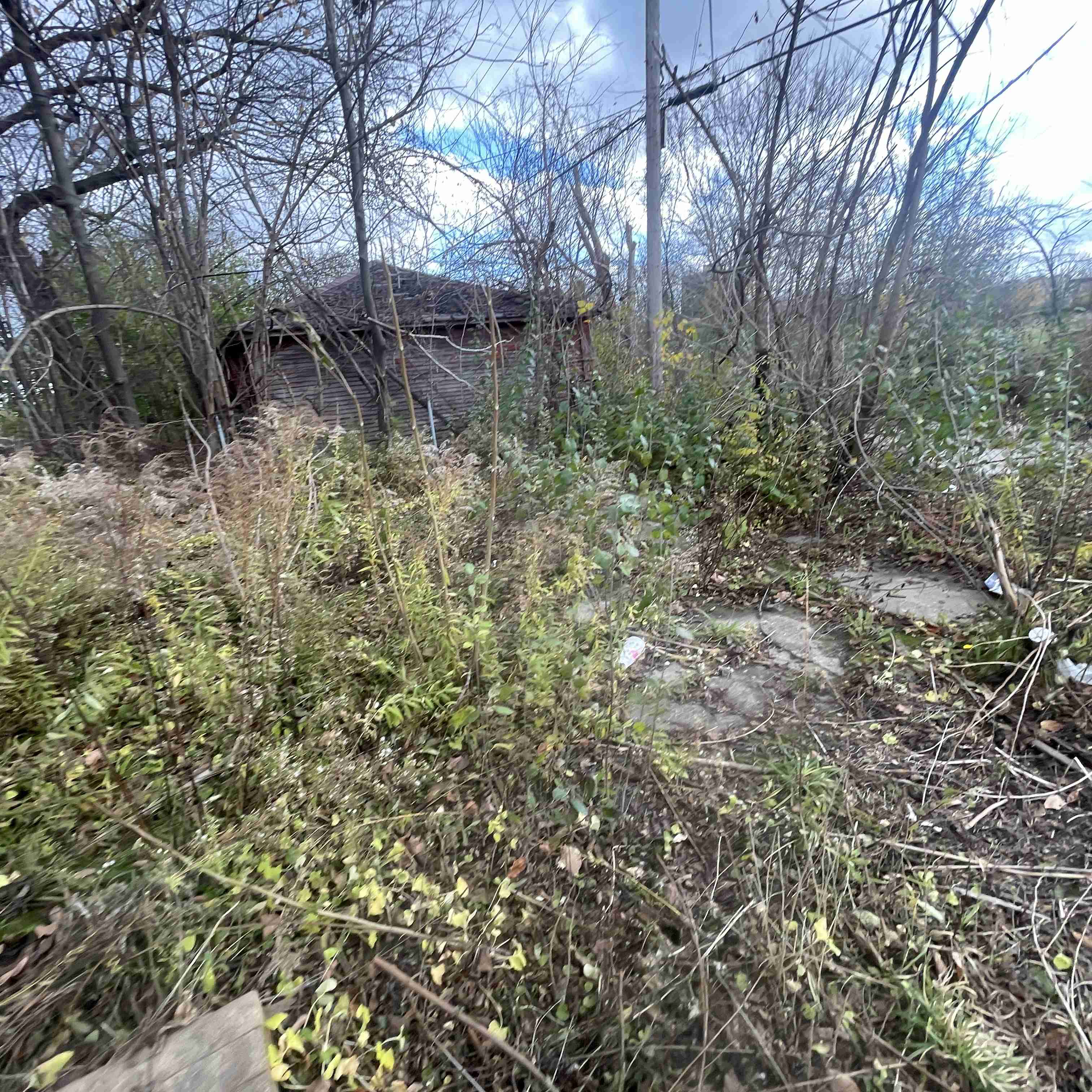 4039 Tuxedo (16).jpg